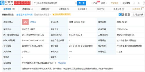 小米高層調整 王川退出廣州信息服務公司，盧偉冰接任，強化信息技術咨詢業(yè)務布局